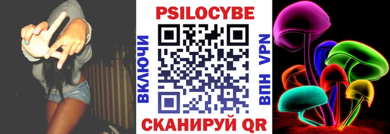 Псилоцибиновые грибы Psilocybine cubensis Закаменск